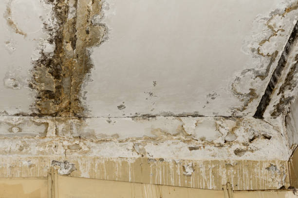 Best Residential water damage restoration  in Franklin Square, NY